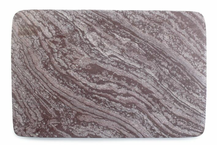 Polished, Neoproterozoic Stromatolite (Conophyton) - Morocco #377231